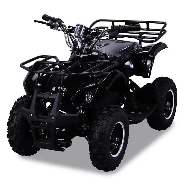 600-1000 мм колесной базы 36V 800W Mini Electric ATV с CE и CHAIN DRIVE трансмиссией