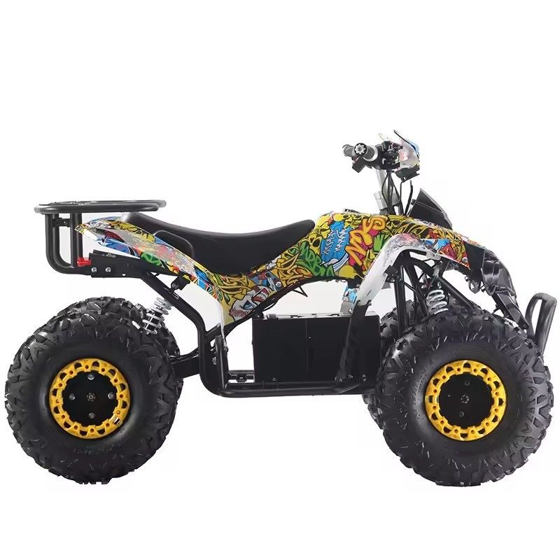 Настраиваемые цвета 1000W/1500W ATV Quads с Ft Disc Rr Disc Brake