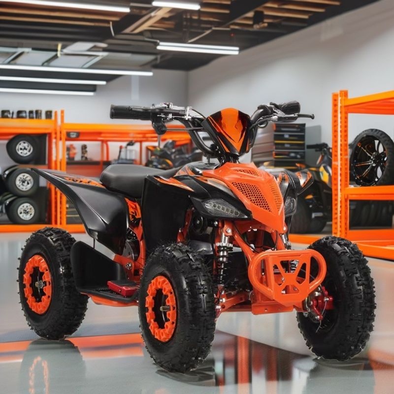 2WD Aotong Motor 800w1000W 36V Off Road Quad ATV Quad Bikes с цепной коробкой передач