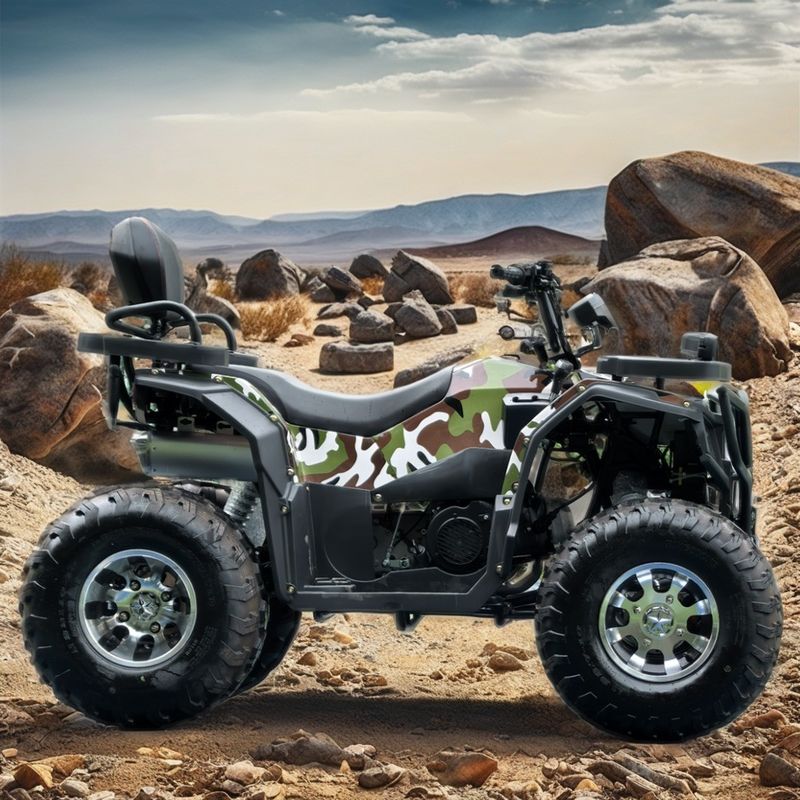 250cc Четырехколесный пляжный бугги с цепным приводом Двойной Четырехколесный горный квадримото 4х4