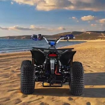 DISC Brake ATV 1000w настраиваемый двойной четырехколесный для дорожного движения взрослый мото