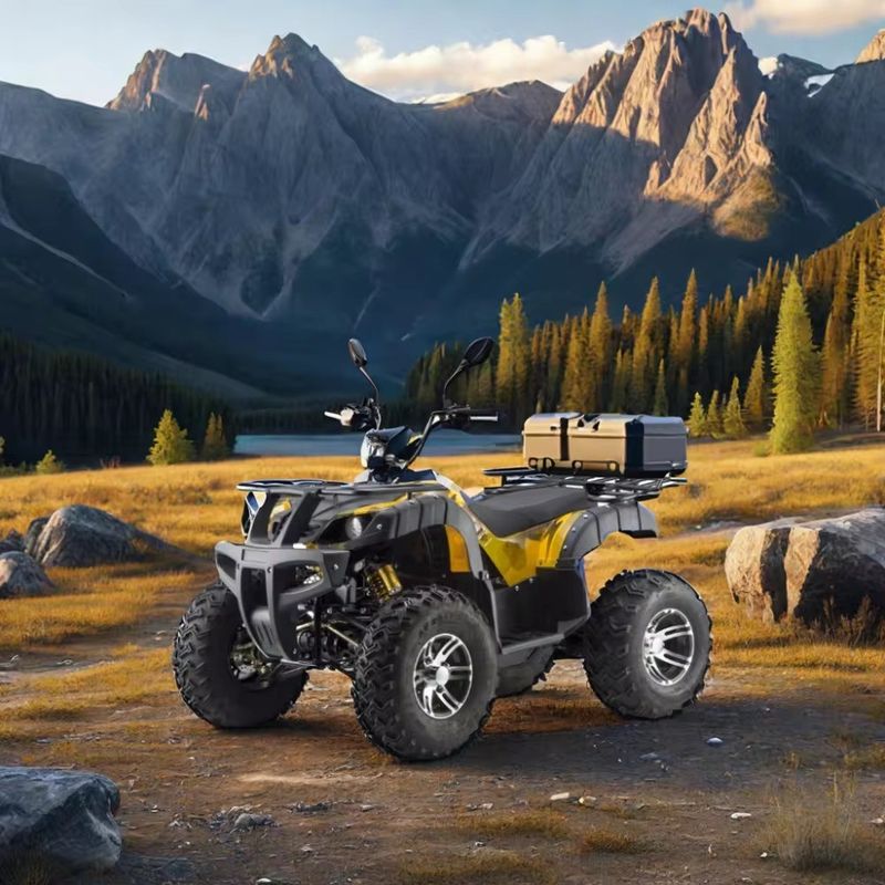 DISC Brake Electric 3000w Dune Buggy для взрослых 1500w*2 UTV ATV 4x4 внедорожный транспорт