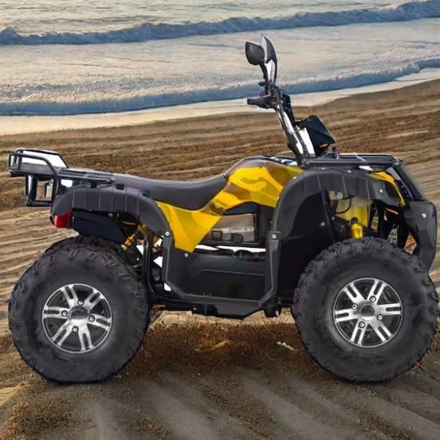 Максимальная скорость 50-75 км/ч 3000 Вт электрический квадроцикл с 4WD и 60В автоматической трансмиссией