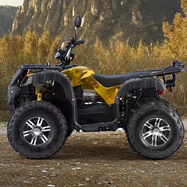 Взрослые 3000 Вт электрический квадроцикл с газовым приводом 2WD 4WD с максимальной скоростью 50-75 км / ч
