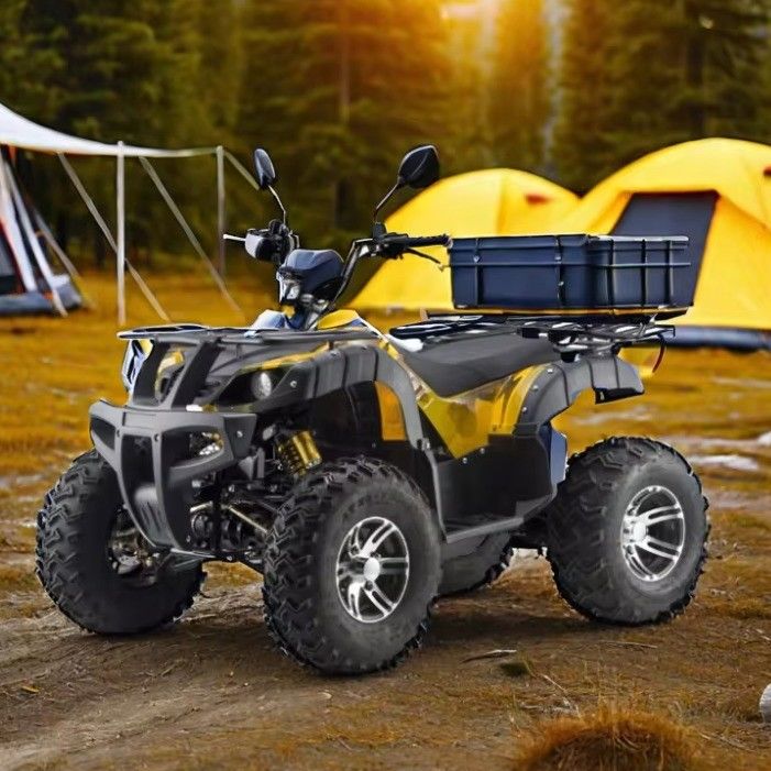 3000W 2wd/4wd ATV UTV Road Четырехколесный внедорожный мотоцикл с переключаемым типом управления