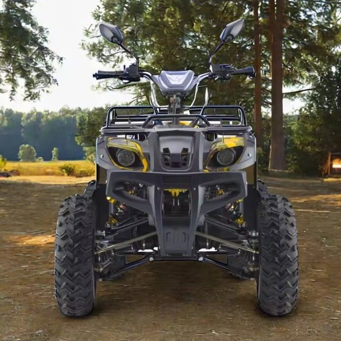 Мощный 3000W 1500W 4WD 4x4 Moto ATV UTV 1000cc Quad ATV с колесной базой 1800-2200 мм