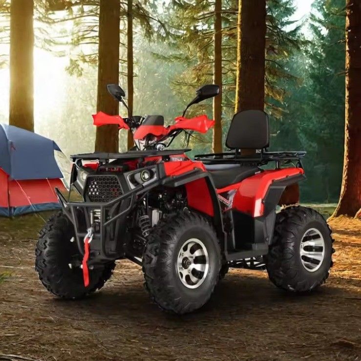 200cc 2X4 4X4 Road Legal ATV Quad Bike для взрослых 200cc цилиндр номер 1