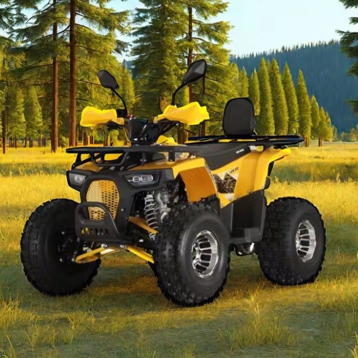 125cc Farm Quads ATV для взрослых мощный газовый / дизельный двигатель и цепный привод