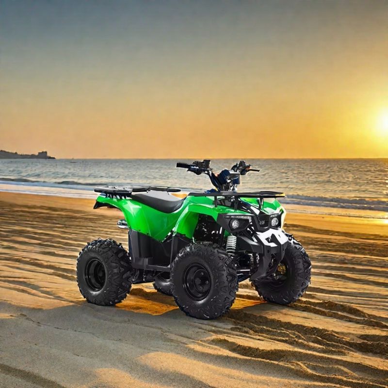 Автоматическая коробка передач типа Aotong Мотор 110cc 125cc 150cc Cuatrimoto ATV для взрослых
