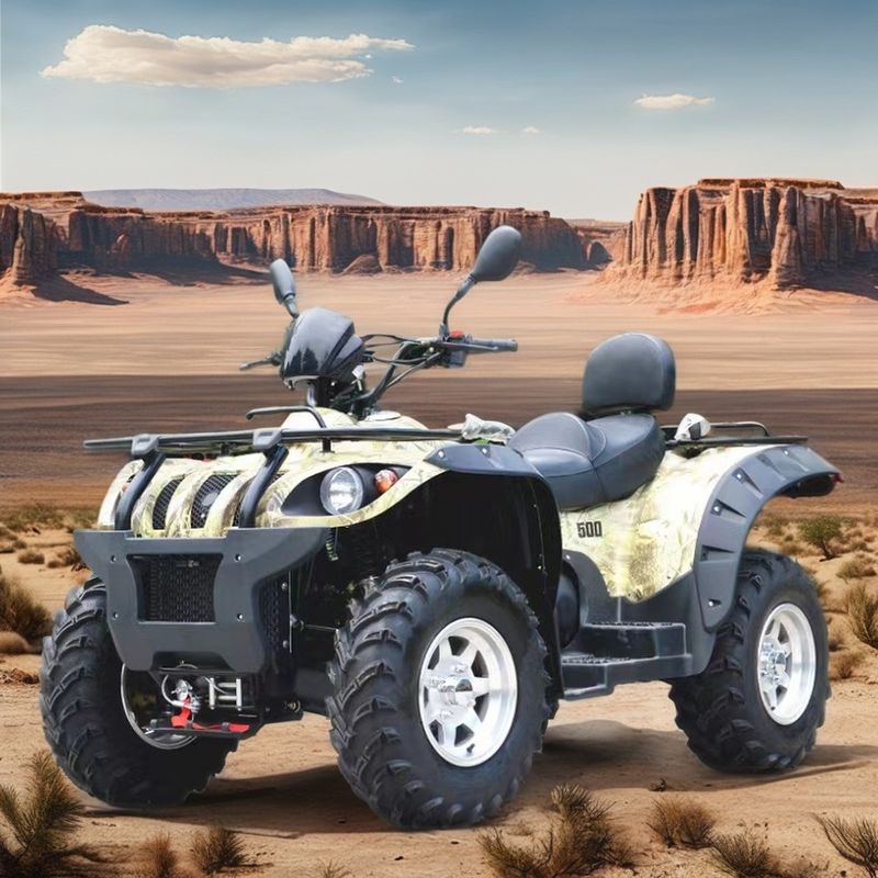 Мощный 500cc двигатель 12V напряжение ATV 4 * 4 Quad для взрослых внедорожник UTV мотоцикл