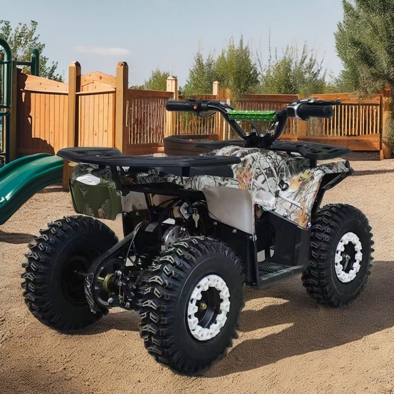 4-тактный двигатель с газовым приводом Детский квадроцикл ATV 110cc 125cc 150cc Четырехколесный с CE
