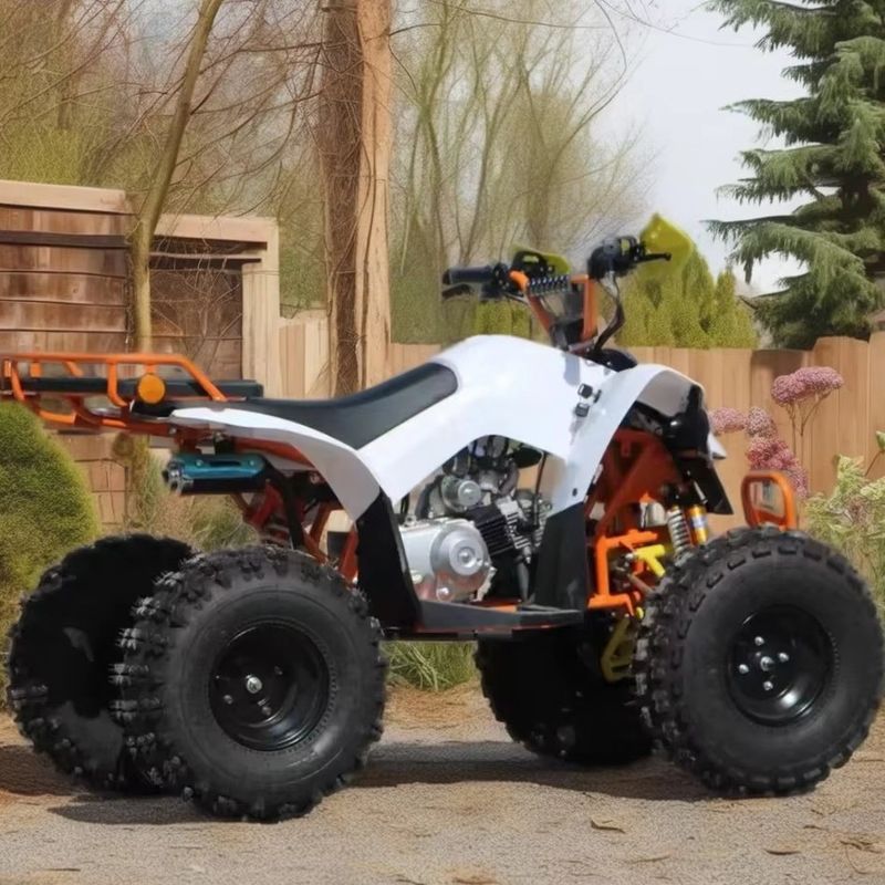110cc-125cc Автоматический квадроцикл для взрослых CE одобренный 8дюймовая шина бензин квадроцикл Большие колеса